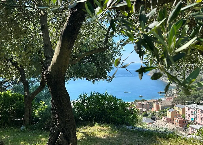 Renata - Amazing Sea View, Garden, Terrrace