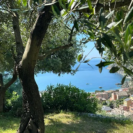 Renata - Amazing Sea View, Garden, Terrrace